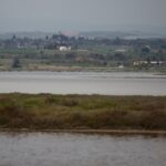 Λιμνοθάλασσα Αλυκής Κίτρους: Κραυγή προστασίας για ένα «σιωπηλό» οικοσύστημα