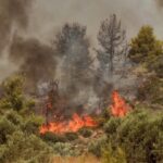 Υπό μερικό έλεγχο η φωτιά στον δήμο Θέρμης