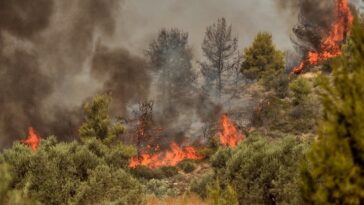 Υπό μερικό έλεγχο η φωτιά στον δήμο Θέρμης