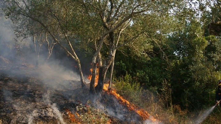 Οριοθετήθηκε η πυρκαγιά στο Πανόραμα – Δεν εκκενώθηκε οικισμός