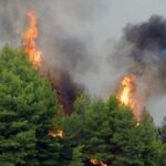 Οριοθετήθηκε η πυρκαγιά στο δήμο Πυλαίας – Χορτιάτη – Δεν εκκενώθηκε οικισμός