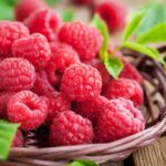raspberries:-ta-ametrita-ofeli-ton-agapimenon-mas-kokkinon-karpon