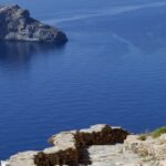 Επιστήμονες επισημαίνουν την “κατάρρευση” της βιοποικιλότητας της Μεσογείου μέσα σε 30 χρόνια